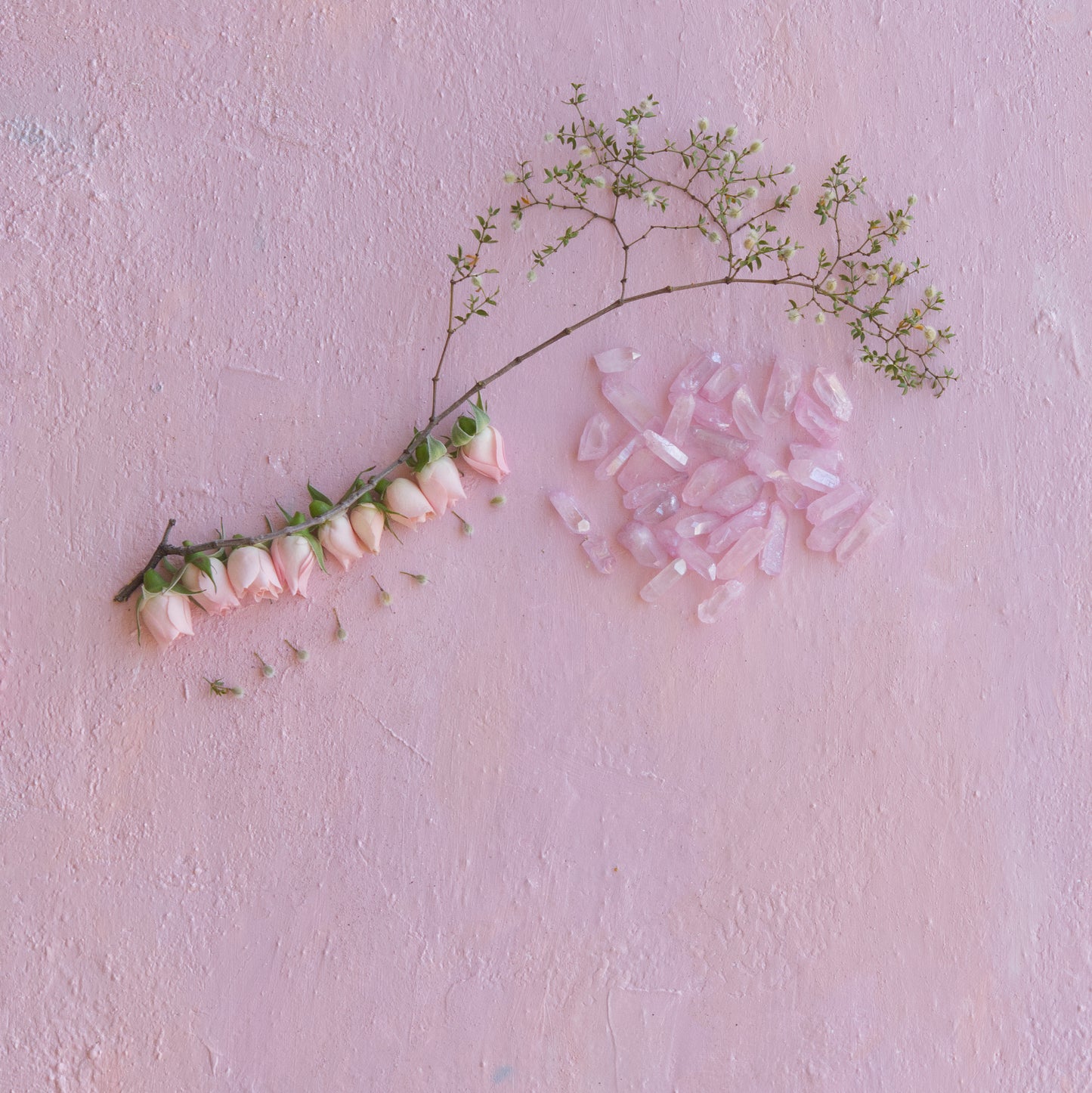 Rose Frequency