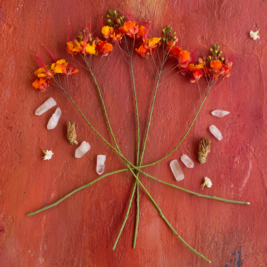 Amber Offering