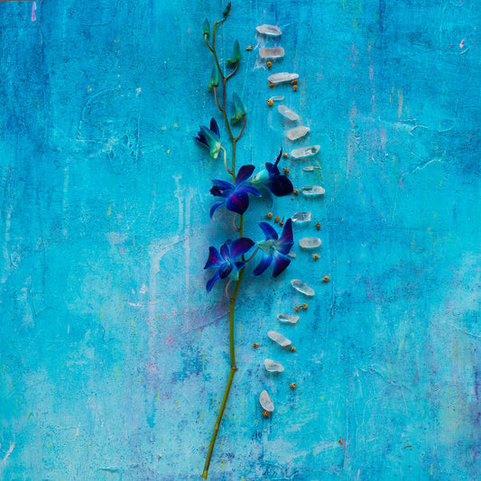 Violet Current